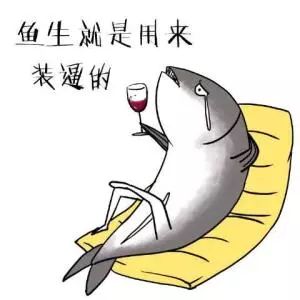 千万别买的28样东西,吐槽千万别买的28样东西