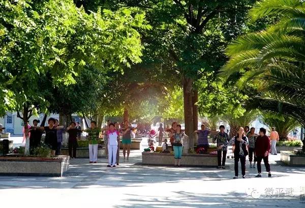 对不起，我要去平武了！这个夏天别再找我了！