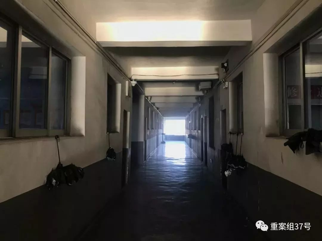 网约车被杀事件,网约司机被杀案