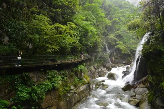 【五一·爽心游江西】婺源最全旅游攻略已为您备好,快来婺源“嗨”翻天!