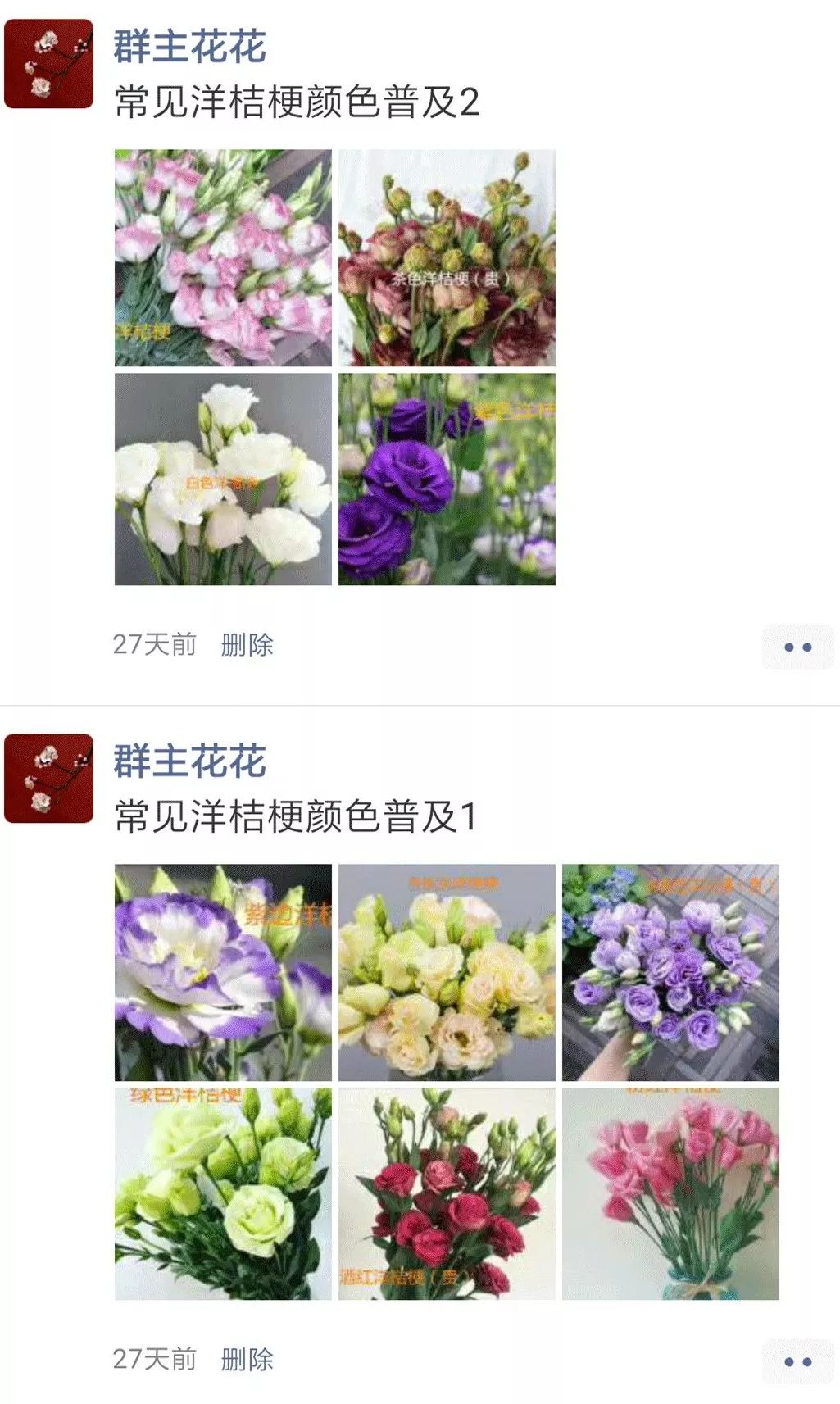 松江花友组了个价格美丽的鲜花团，还想找个靠谱提货点