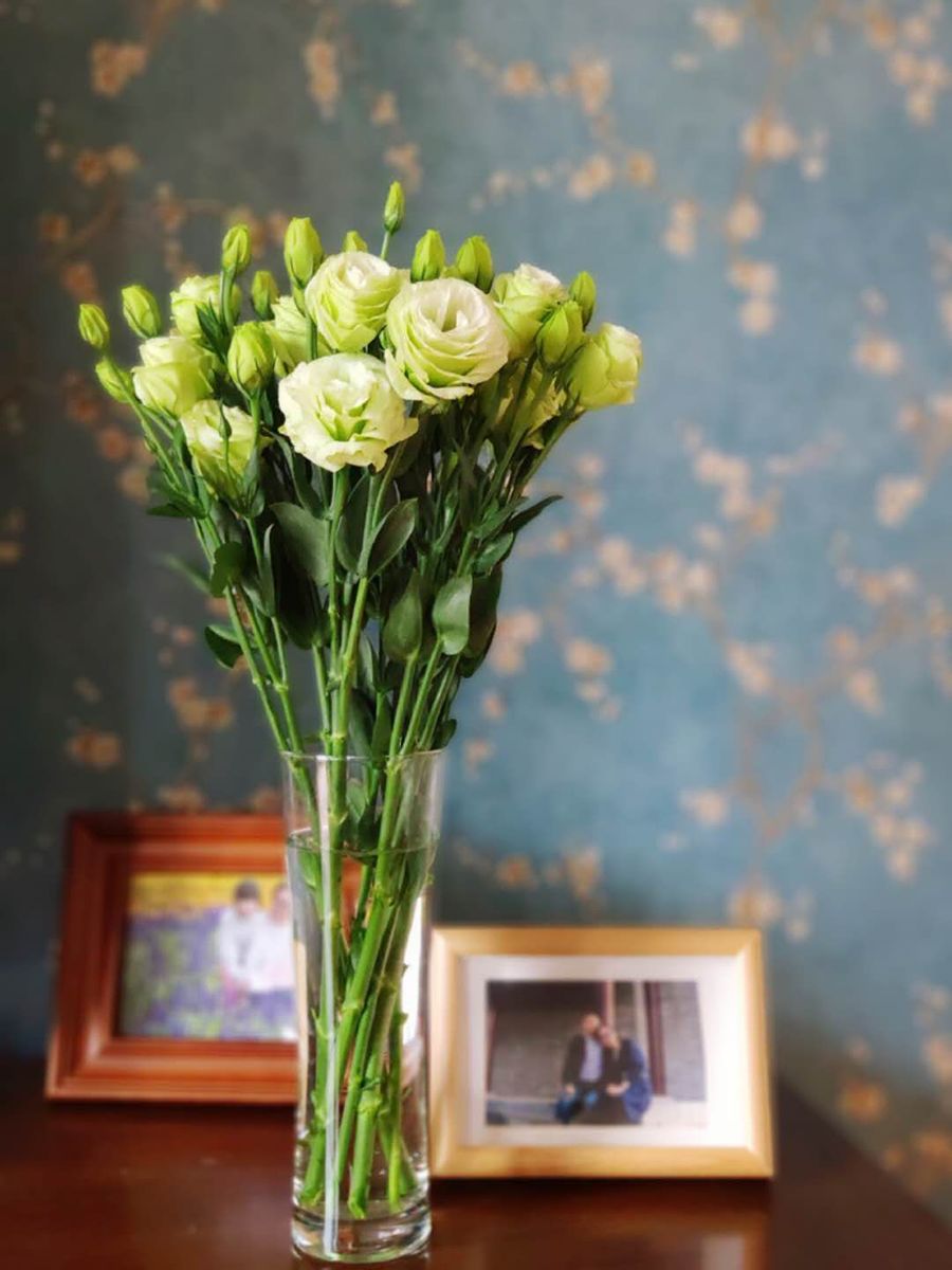 松江花友组了个价格美丽的鲜花团，还想找个靠谱提货点