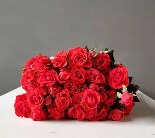 松江花友组了个价格美丽的鲜花团，还想找个靠谱提货点