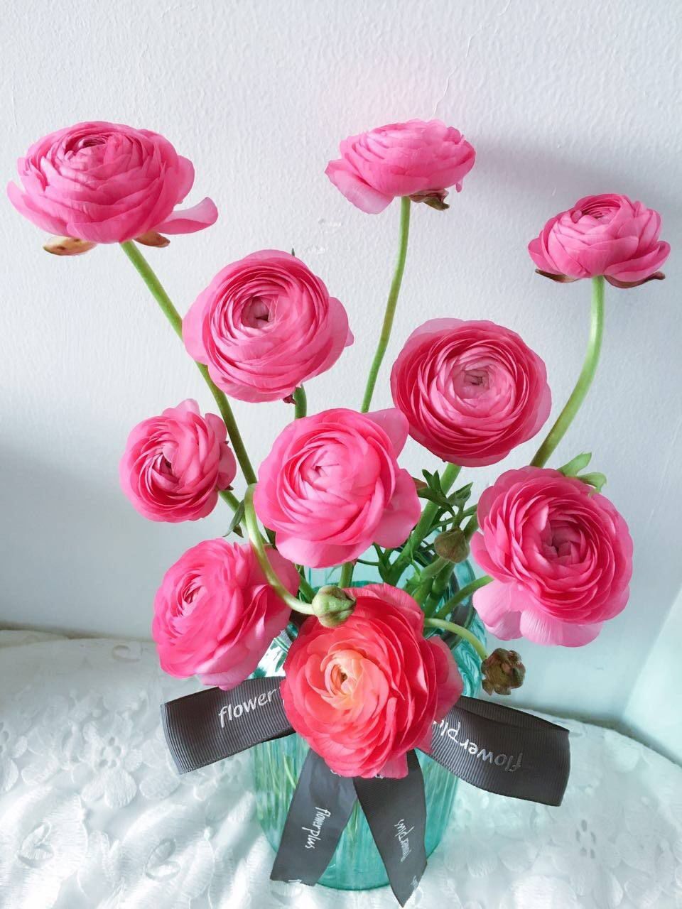 松江花友组了个价格美丽的鲜花团，还想找个靠谱提货点