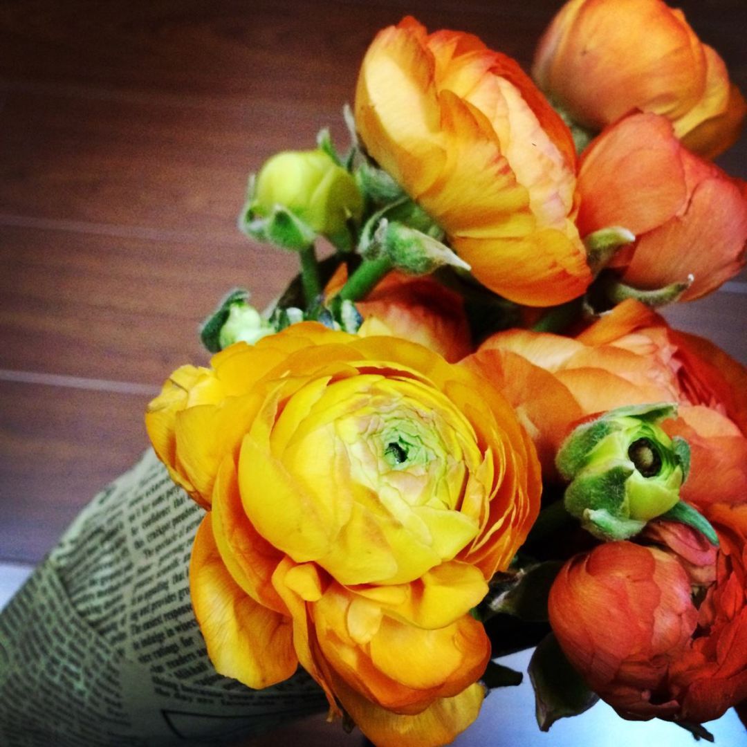 松江花友组了个价格美丽的鲜花团，还想找个靠谱提货点