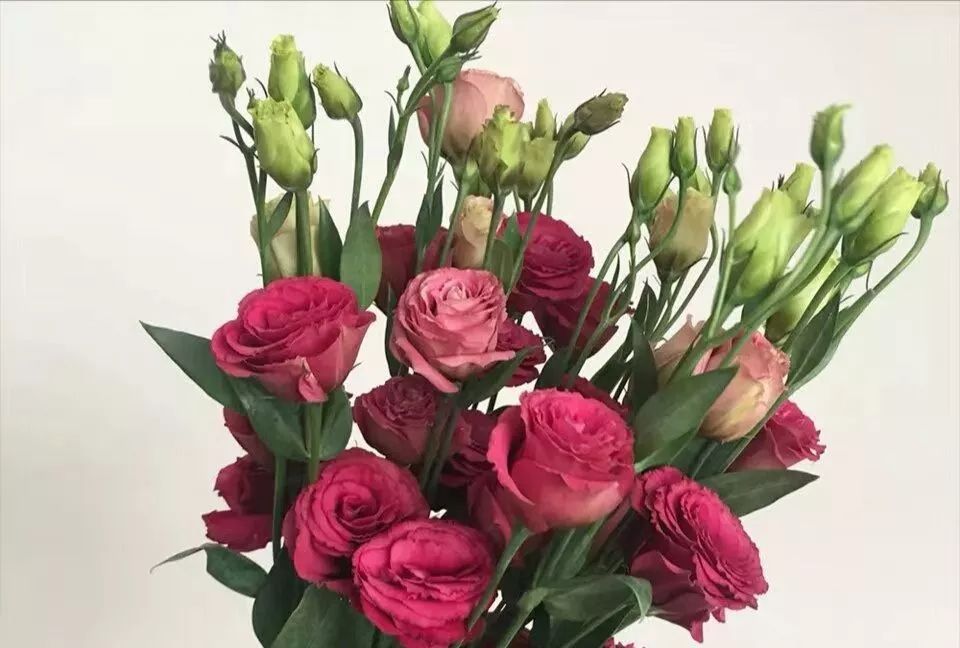 松江花友组了个价格美丽的鲜花团，还想找个靠谱提货点