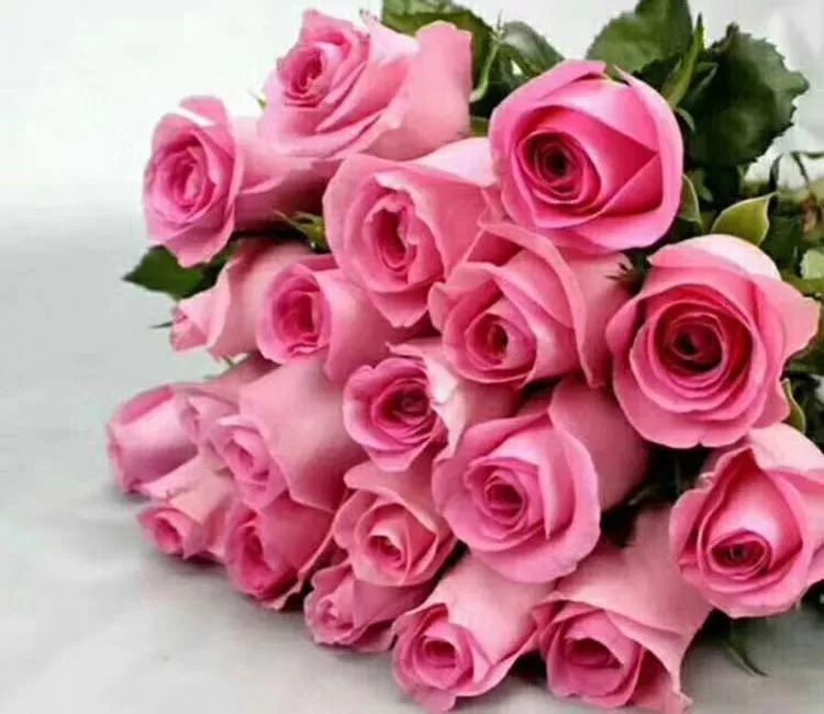 松江花友组了个价格美丽的鲜花团，还想找个靠谱提货点