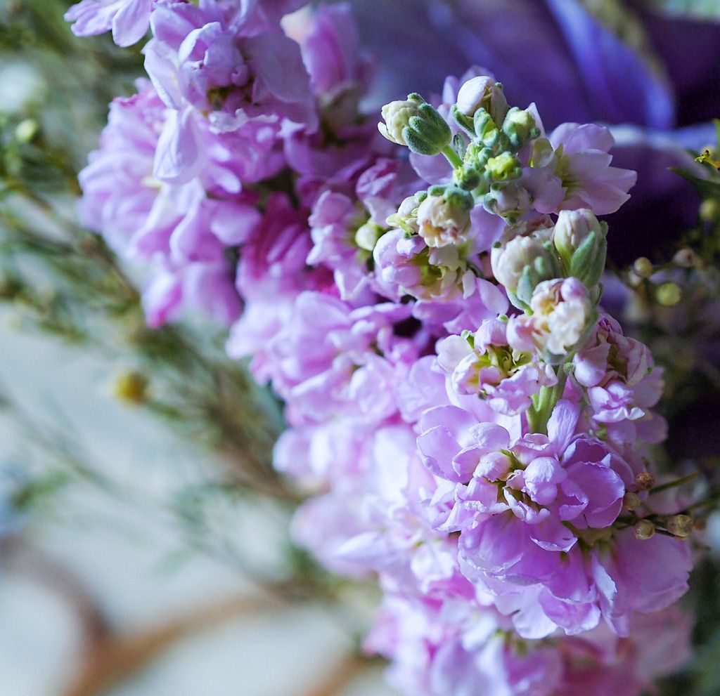 松江花友组了个价格美丽的鲜花团，还想找个靠谱提货点