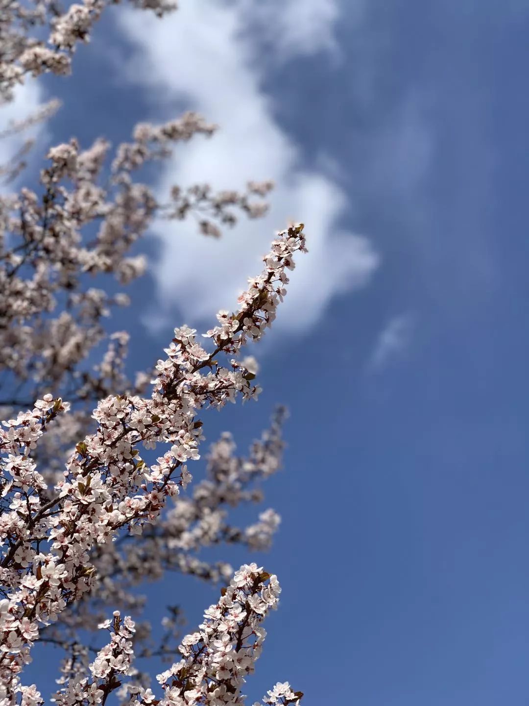 津城下周天气怎么样,津城下周冷空气消息