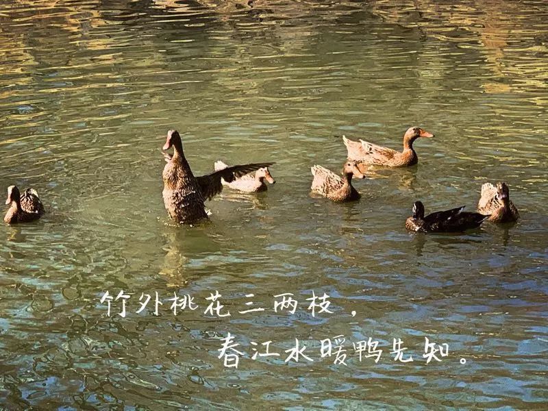 津城下周天气怎么样,津城下周冷空气消息