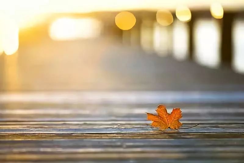 人最大的教养是和颜悦色深度好文,深度好文最好的修养就是和颜悦色