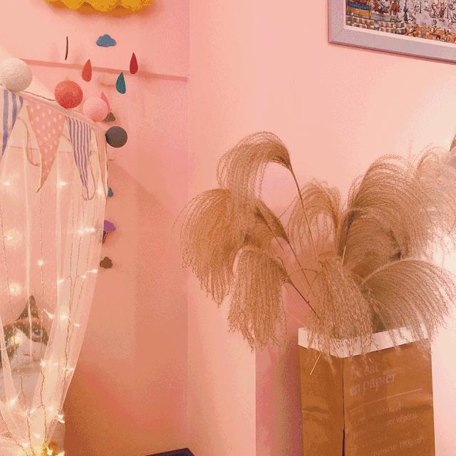 狂送福利!小鲜肉集结的韩料,火爆广州的茶室……你想要的统统给你!