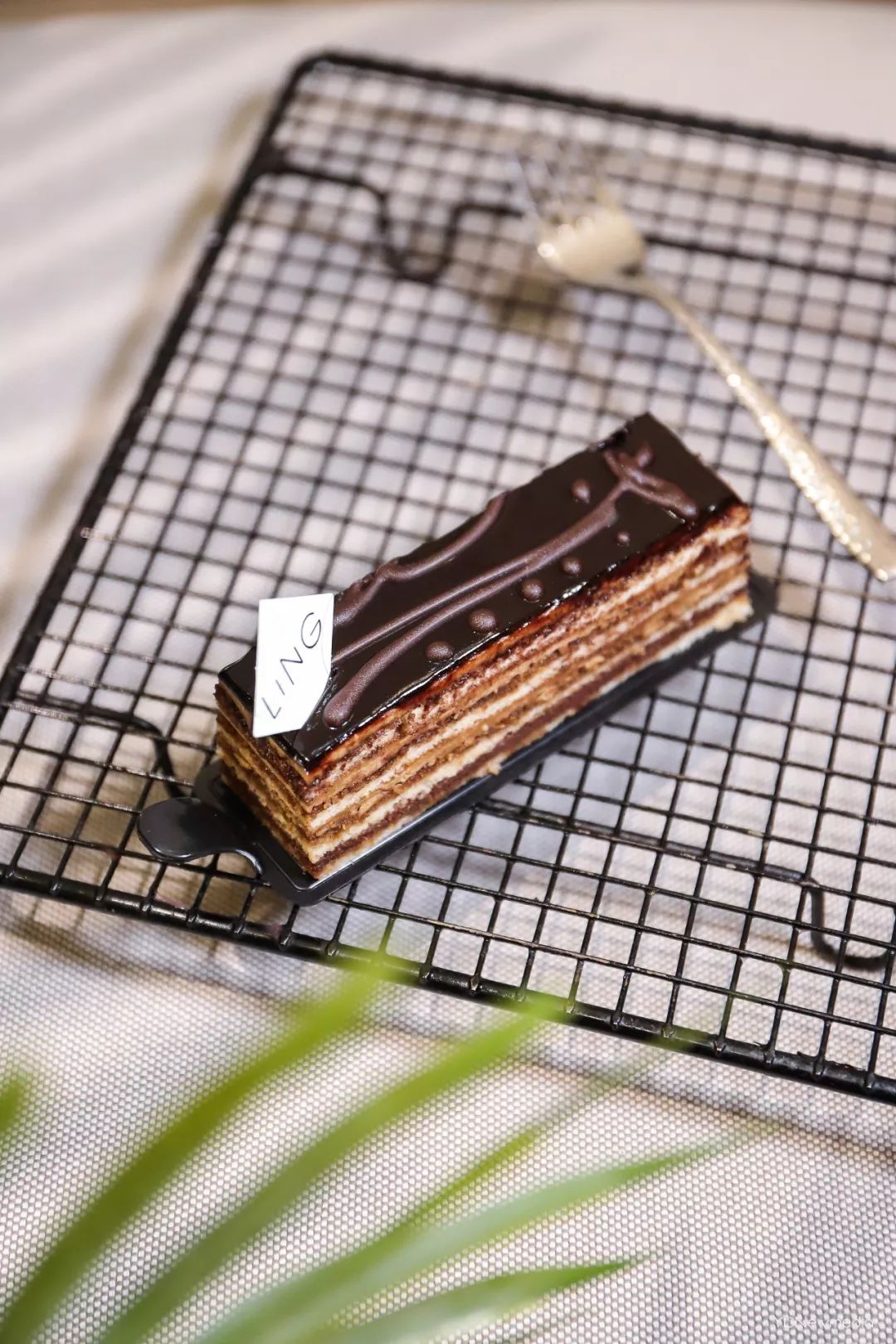 狂送福利!小鲜肉集结的韩料,火爆广州的茶室……你想要的统统给你!