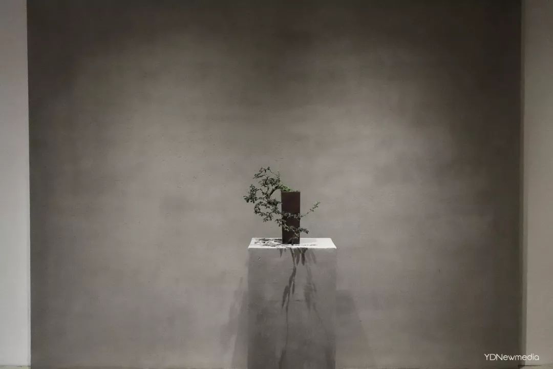 狂送福利！小鲜肉集结的韩料，火爆广州的茶室……你想要的统统给你！