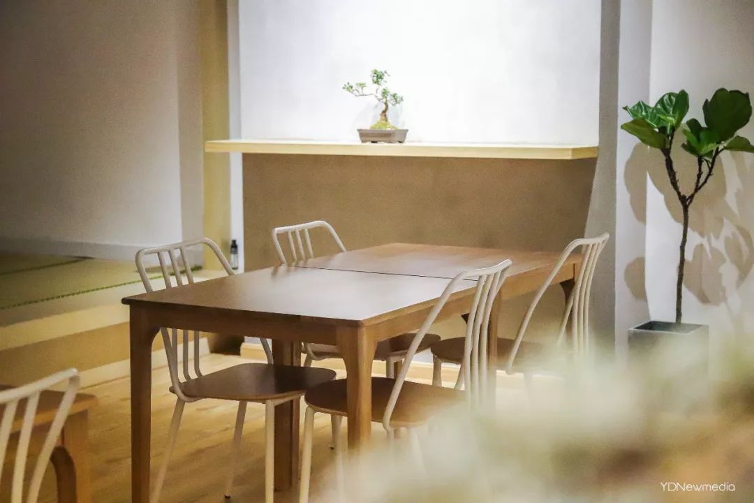 狂送福利!小鲜肉集结的韩料,火爆广州的茶室……你想要的统统给你!