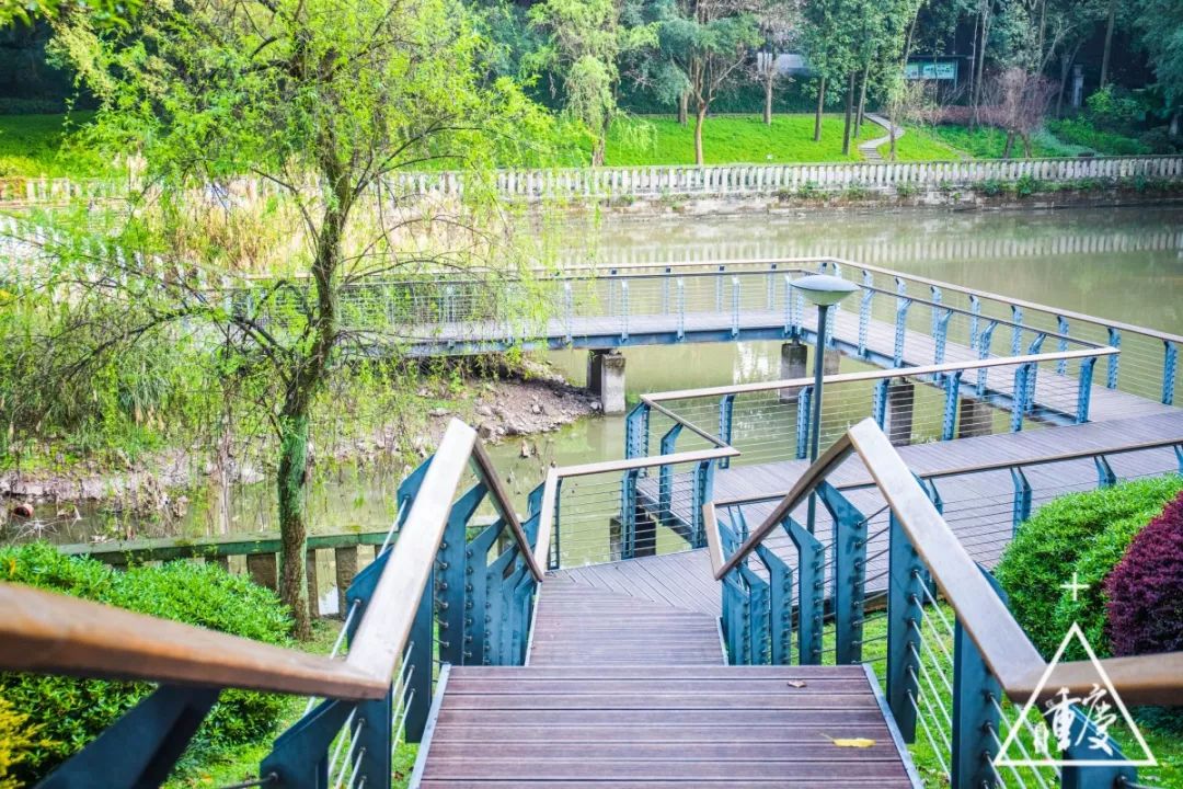 谈重庆南开中学,重庆有几所南开中学