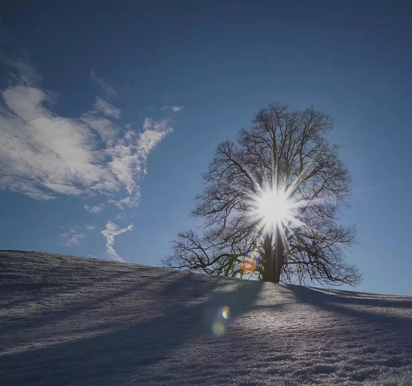 诗中春的意思,赞美四月天的经典诗句