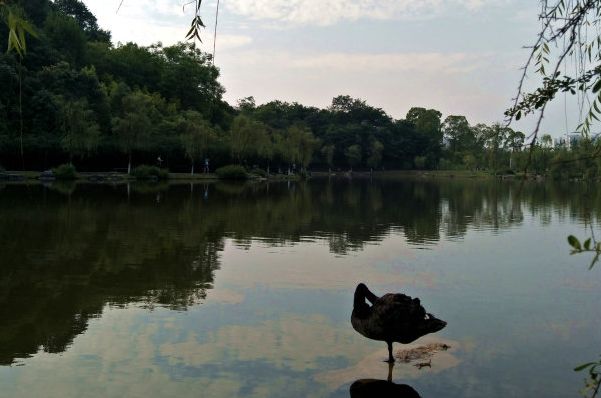 “重马”来啦！在沙坪坝的春天里应这样度过
