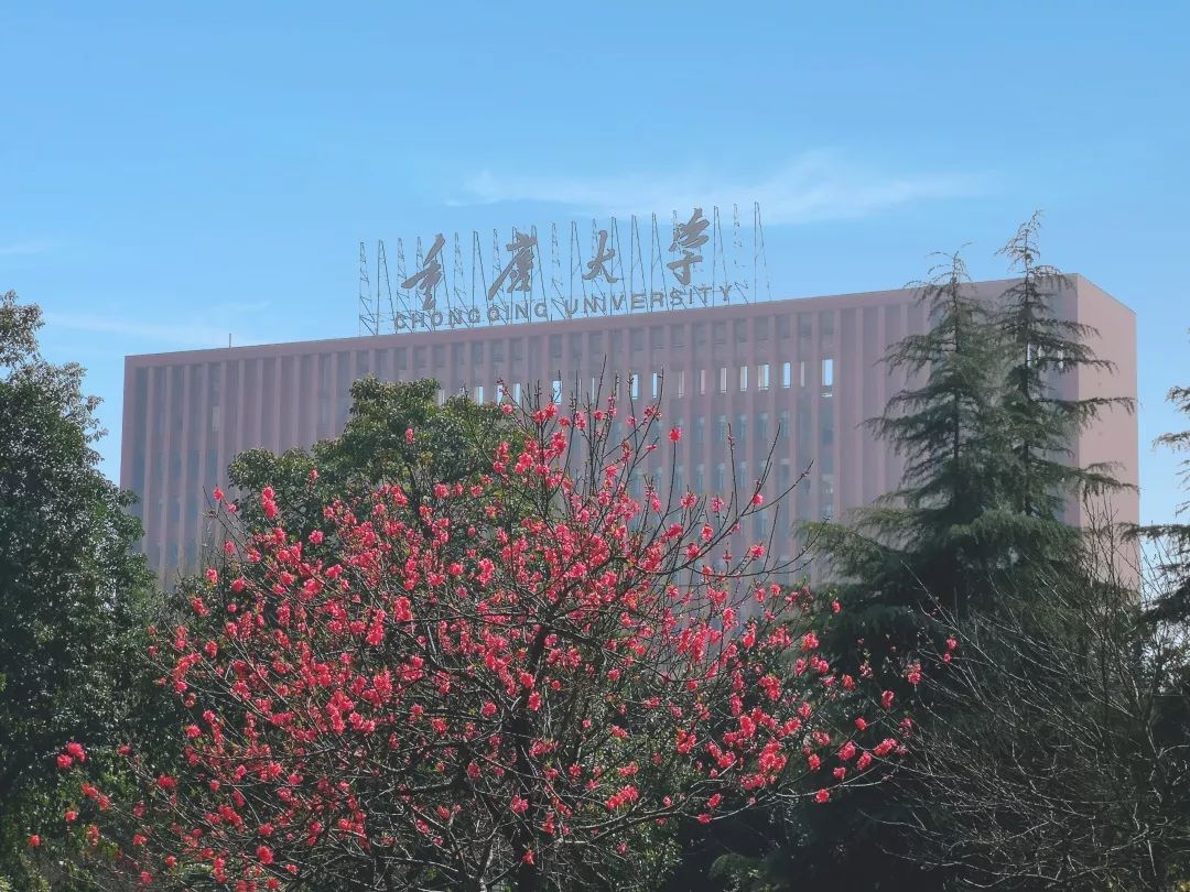 “重马”来啦！在沙坪坝的春天里应这样度过