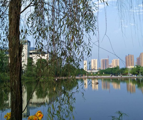 “重马”来啦！在沙坪坝的春天里应这样度过