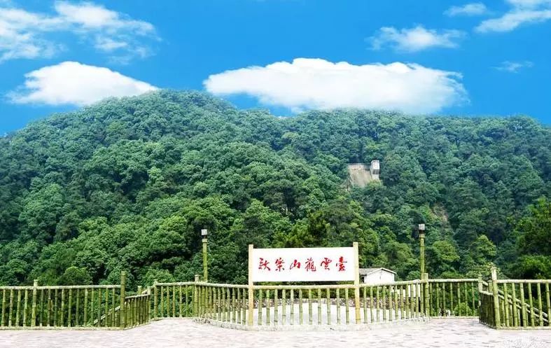 “重马”来啦！在沙坪坝的春天里应这样度过