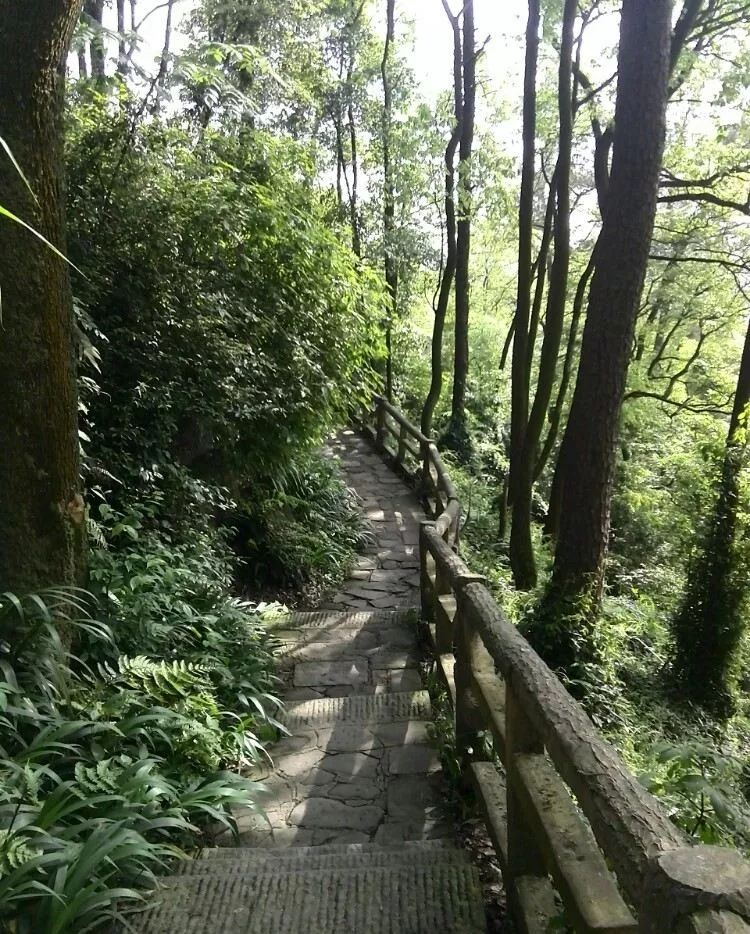 “重马”来啦！在沙坪坝的春天里应这样度过