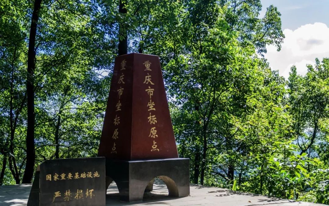 “重马”来啦！在沙坪坝的春天里应这样度过