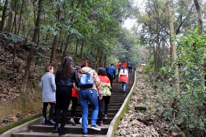 “重马”来啦！在沙坪坝的春天里应这样度过