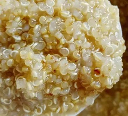 天后、超模力荐的减肥神器，用它代替主食，狂瘦27公斤！“网红藜麦”醇香Q弹，0胆固醇，低脂、低热、高蛋白