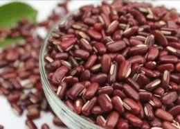 薏米特殊功效与作用,薏米的功效与作用医学百科