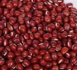 薏米特殊功效与作用,薏米的功效与作用医学百科