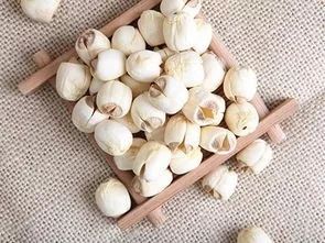 薏米特殊功效与作用,薏米的功效与作用医学百科