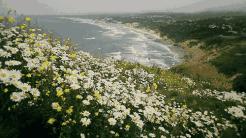 大连民宿好评top1,大连十大民宿前景如何