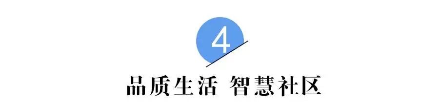 把家安在市区公园里,把家安在湖山悦府