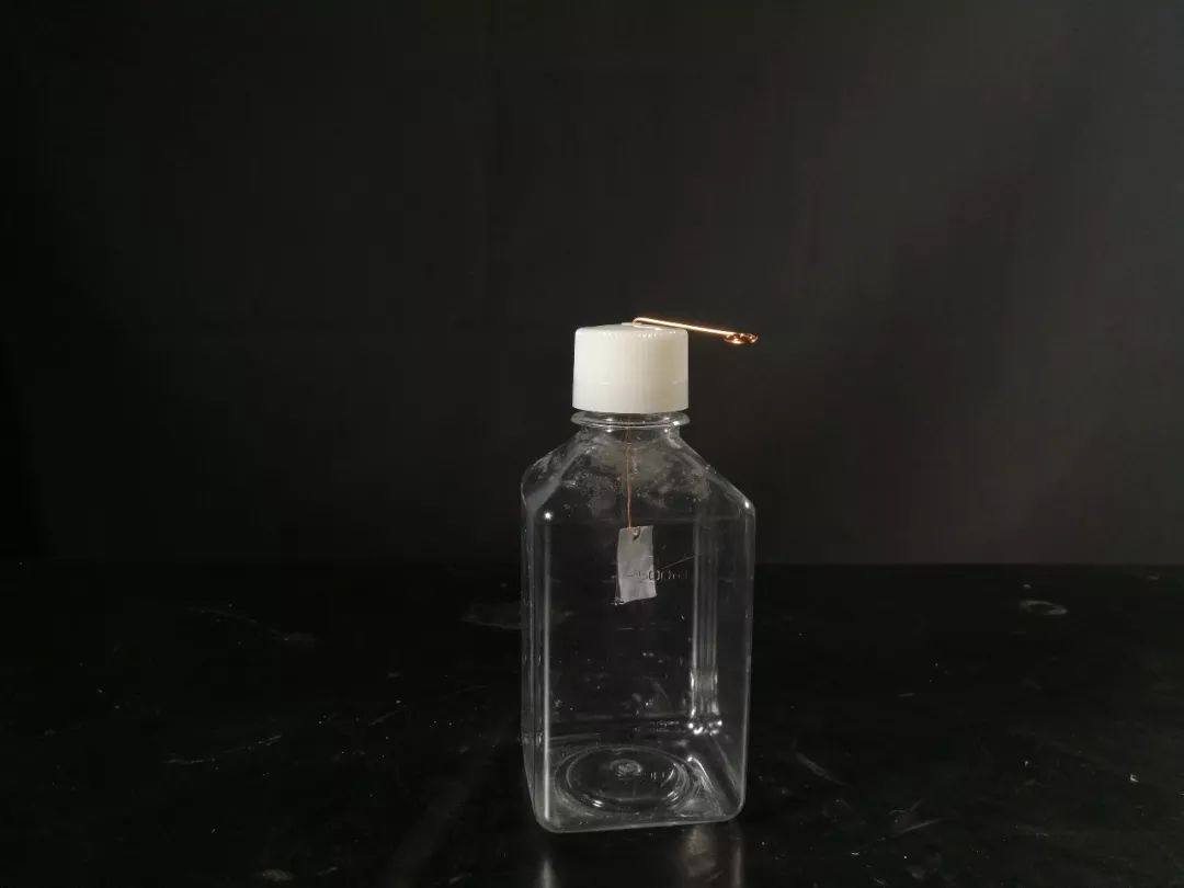 原来想看到“电”也没那么难！|正经玩