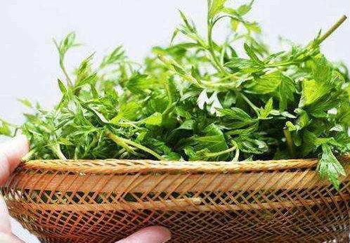 每日一膳|体内寒湿重?用这款有“艾”靓汤泡一泡,除湿安神还助眠,双腿也会倍感轻松哦!~广东省中医院杨志敏教授今日推荐