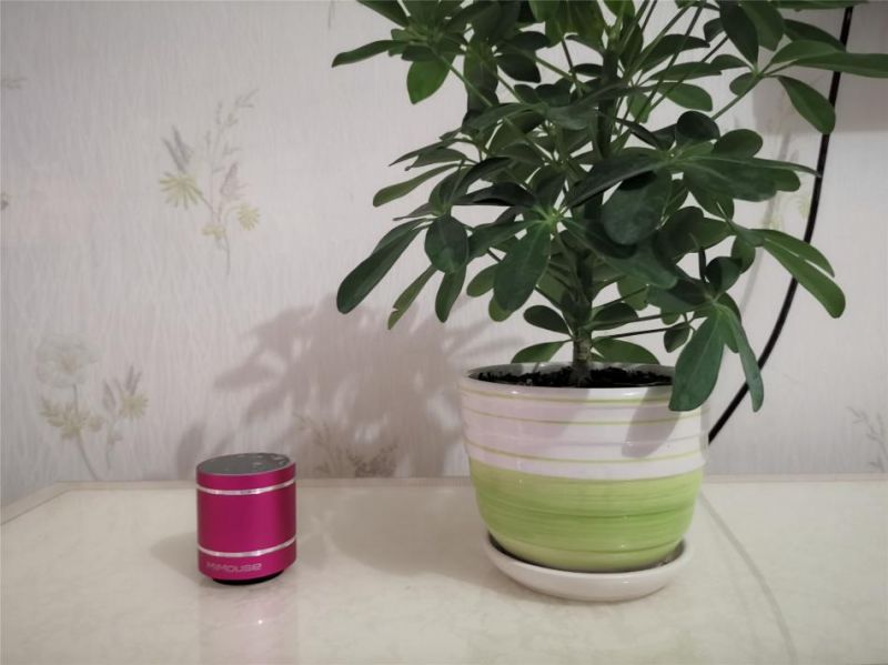 共振音响超低频音乐,共振式蓝牙音响