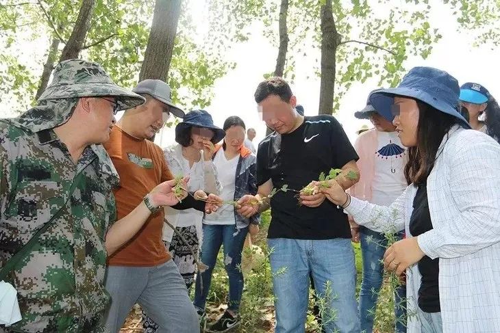 80%的痔疮无需手术治疗吗,痔疮又犯了用这个方法轻松治痔疮