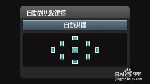 单反相机入门教程与摄影技巧,摄影新手如何提升技术