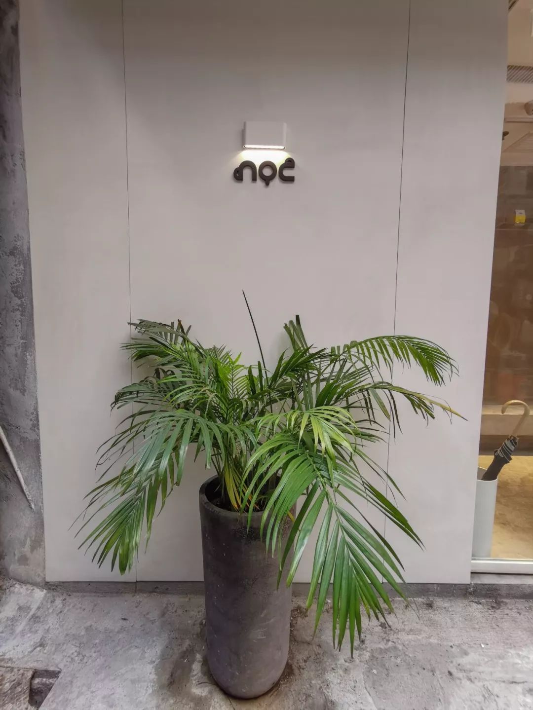 世界咖啡地图免费阅读,香港最出名值得打卡的咖啡