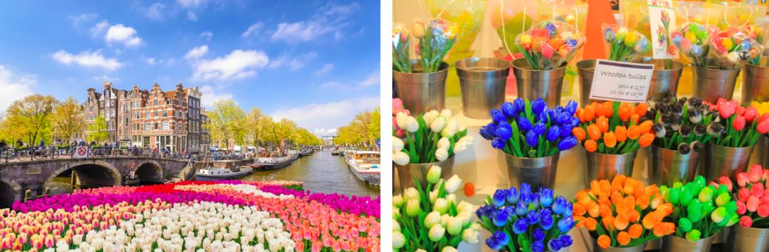 平价宫廷风仙女裙推荐,安利漂亮裙子