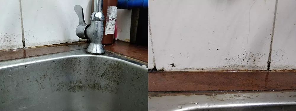 黑科技油烟净,黑科技除垢剂