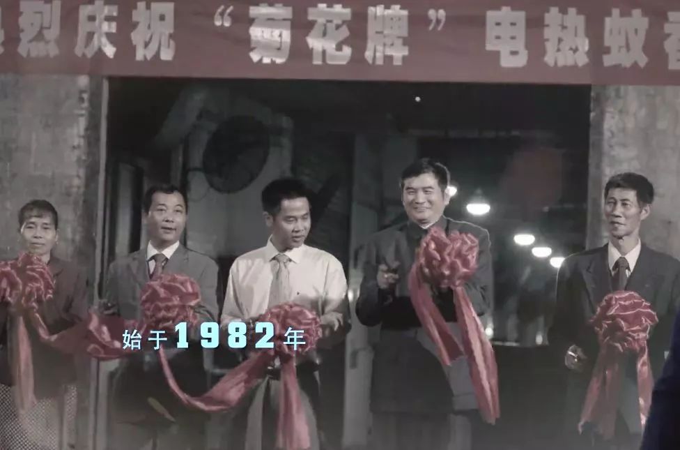 迷路榄菊老品牌,迷路的榄菊老品牌