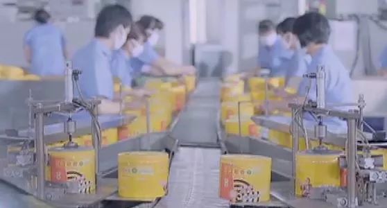 迷路榄菊老品牌,迷路的榄菊老品牌