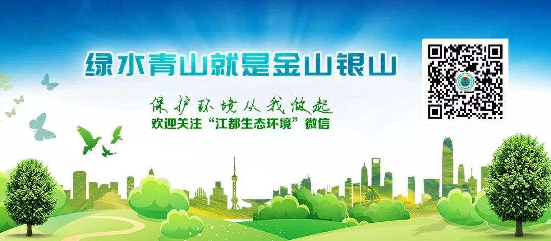 19岁女孩天天吃鱼，竟导致手脚“满目疮痍”！医生一句话道出真相