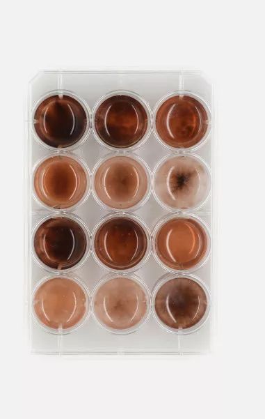 最经典实用的设计,十个最实用的设计