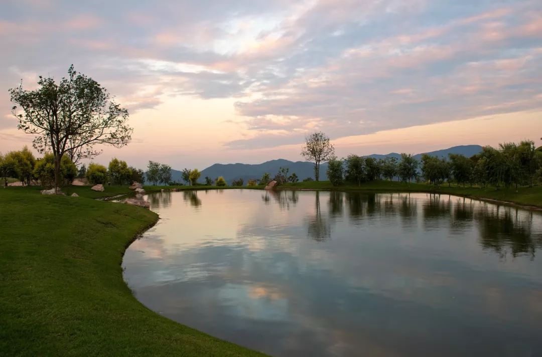 权威发布|这样的花都,太上头了!