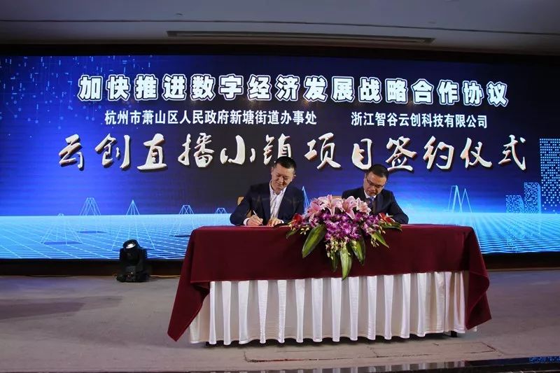 萧山重大项目,萧山重大产业项目是哪些