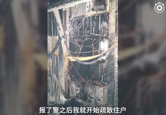 武汉全职妈妈海外购回国，为逃30万税款，损失145万还被判刑…︱早安武汉