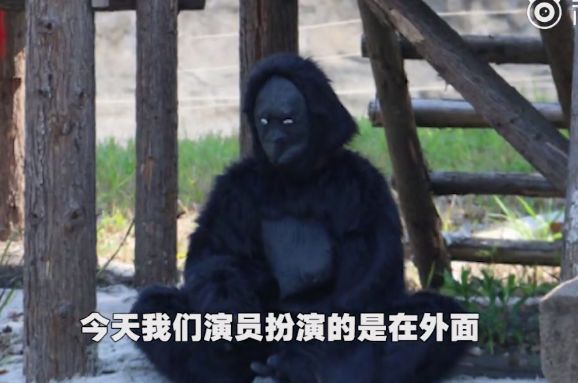 武汉全职妈妈海外购回国，为逃30万税款，损失145万还被判刑…︱早安武汉